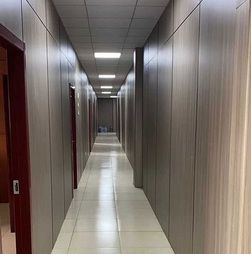 Projeto de Integração Médica e de Enfermagem de Hongze Lake